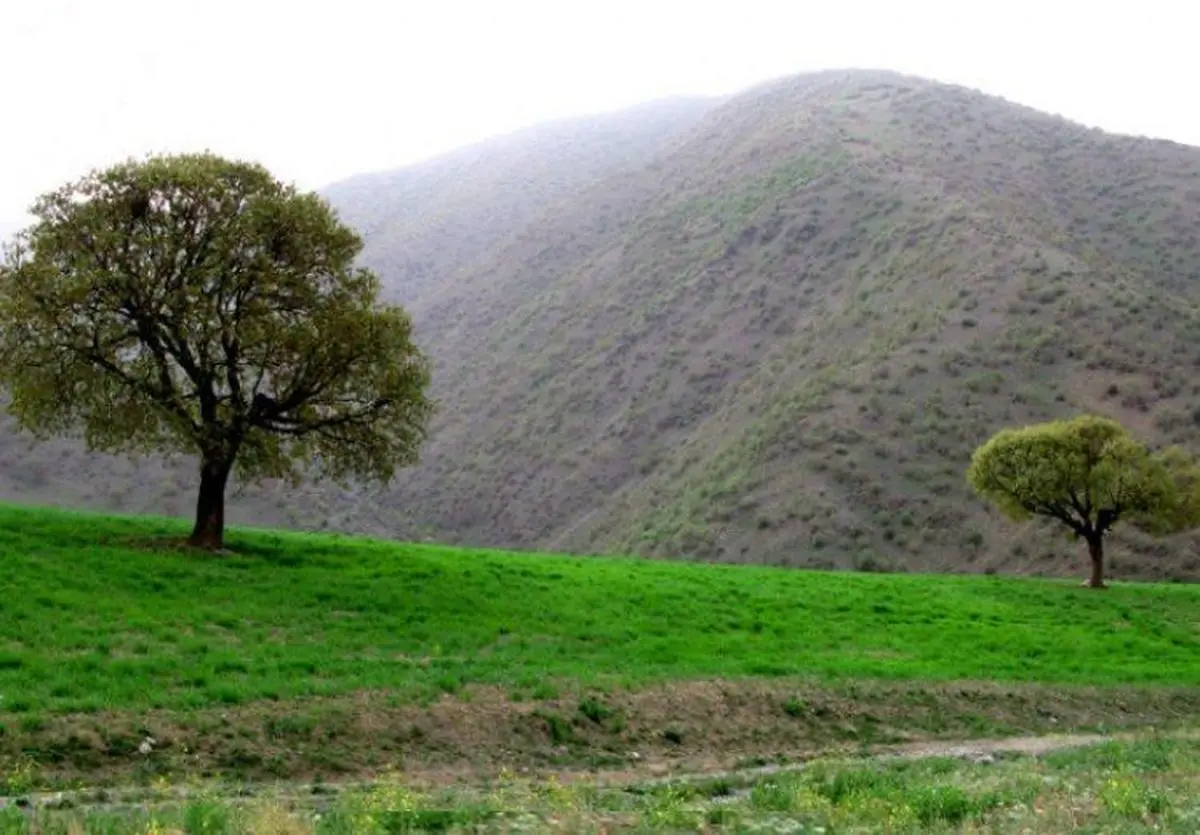 طبیعت بهشتی سارال کردستان | هم دشت و دمن، هم کوه و کوهستان+ویدئو