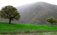 طبیعت بهشتی سارال کردستان | هم دشت و دمن، هم کوه و کوهستان+ویدئو