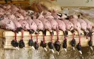 قتل‌عام پرندگان مهاجر در ایران؛ پرنده مهاجر پرسی چند؟ | گوشت پرندگان مهاجر در منوی شفاهی رستوران‌ها
