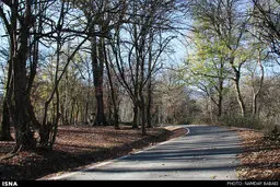 تمامی پارک‌های جنگلی فردا تعطیل است