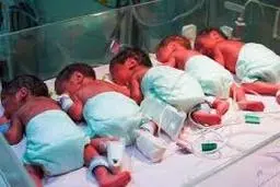 زایمان زودرس | متولدنوزادان 6 قلو درالبرز