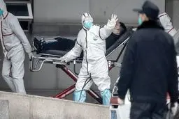 گاردین: هشدار درمورد شیوع پاندمی جدید «نیپا» از چین | منشا این ویروس خفاش های میوه خوار هستند | درصد احتمال مرگ: ۴۰ تا ۷۵ درصد