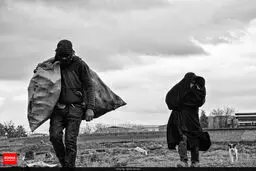 افزایش مصرف شیشه توسط زوجین برای افزایش توانایی جنسی