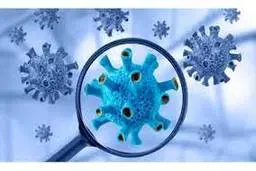 وزارت بهداشت: اوج‌گیری زیرسویه جدید کرونا در کشور، ۳ بهمن خواهد بود + ویدئو 