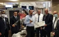  قاچاق  |  مسافری با انواع سلاح در فرودگاه قاهره دستگیر شد.
