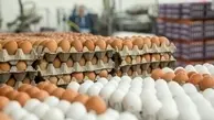 هر تخم مرغ دونه ای ۹ هزار تومان! | قیمت تخم مرغ بسته بندی +جدول قیمت