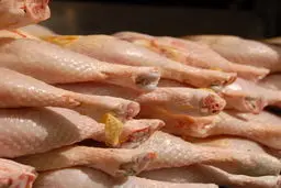 مرغ پُست می‎شود  | فروش مرغ به صورت پُستی خواهد شد؟