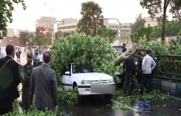 افزایش شمار مصدومان طوفان دیروز تهران به ۴۱ نفر | ۲ تن فوت شدند