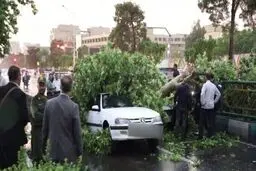 افزایش شمار مصدومان طوفان دیروز تهران به ۴۱ نفر | ۲ تن فوت شدند