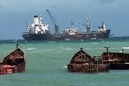 دزدانی که صیاد صید می‌کنند!