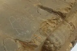 یادگارنویسی تازه در تخت جمشید | وندال‌ها چگونه به دروازه ملل رسیدند؟