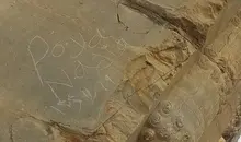 یادگارنویسی تازه در تخت جمشید | وندال‌ها چگونه به دروازه ملل رسیدند؟