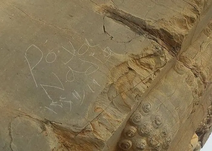 یادگارنویسی تازه در تخت جمشید | وندال‌ها چگونه به دروازه ملل رسیدند؟