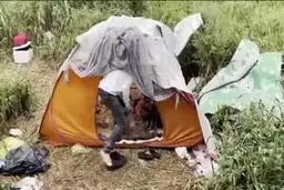  زندگی جوان تحصیل کرده به همراه همسرش در چادر +فیلم