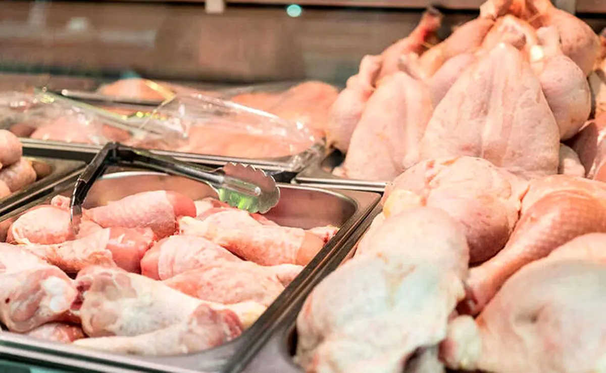 قیمت گوشت مرغ بال درآورد! | قیمت گوشت مرغ امروز در بازار اعلام شد + جدول قیمت