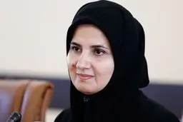 معاون حقوقی رئیس‌جمهور: نپذیرفتن FATF اروپا را به آمریکا نزدیکتر می‌کند