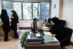 افزایش سهم زنان در بدنه دولت | زنان حالا ۴۵ درصد از کارمندان دولت را تشکیل می‌دهند!