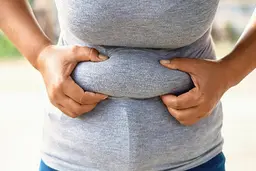 چرا خانم‌ها بیشتر از آقایان شکم و پهلو دارند؟| دلایل چاقی شکمی خانم ها

