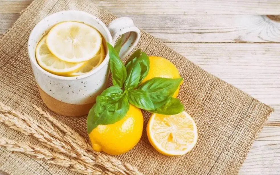  ناشتا آب گرم و لیموترش  مصرف کنید | فواید مصرف آب گرم و لیموترش به صورت ناشتا