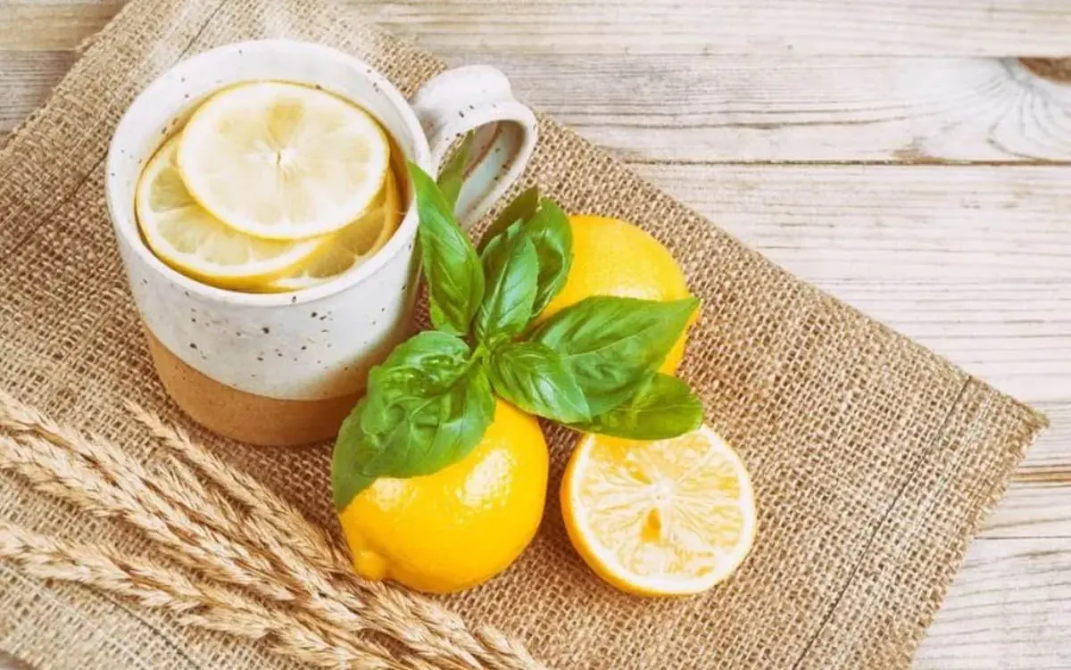  ناشتا آب گرم و لیموترش  مصرف کنید | فواید مصرف آب گرم و لیموترش به صورت ناشتا
