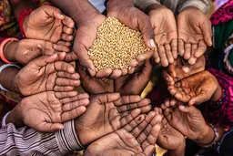 امنیت غذایی در دوران کرونا و پس از آن
