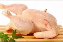 قیمت مرغ گرم در بازار چند ؟ | همچنان افزایش قیمت داریم 