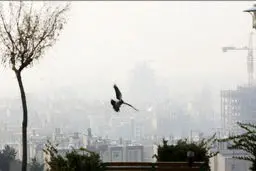 فرصت‌های سوخته | در دو دهه گذشته، چه اقداماتی را به تعویق انداختیم؟