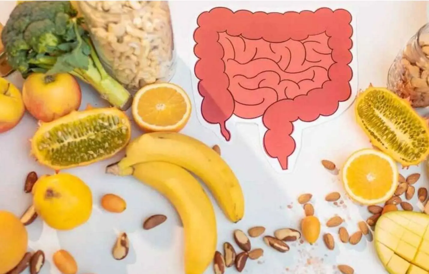 برای سلامت روده چه بخوریم؟ ۱۵ انتخاب مفید و ساده