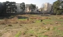 تعرض‌ به تپه ۵هزار ساله غرب تهران را متوقف کنید

