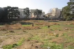 تعرض‌ به تپه ۵هزار ساله غرب تهران را متوقف کنید

