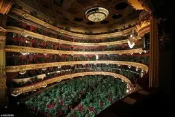 جایگزین کردن تماشاچیان کنسرت با گیاهان در بارسلون + ویدئو