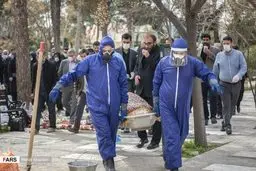 جدل «ویروسی»