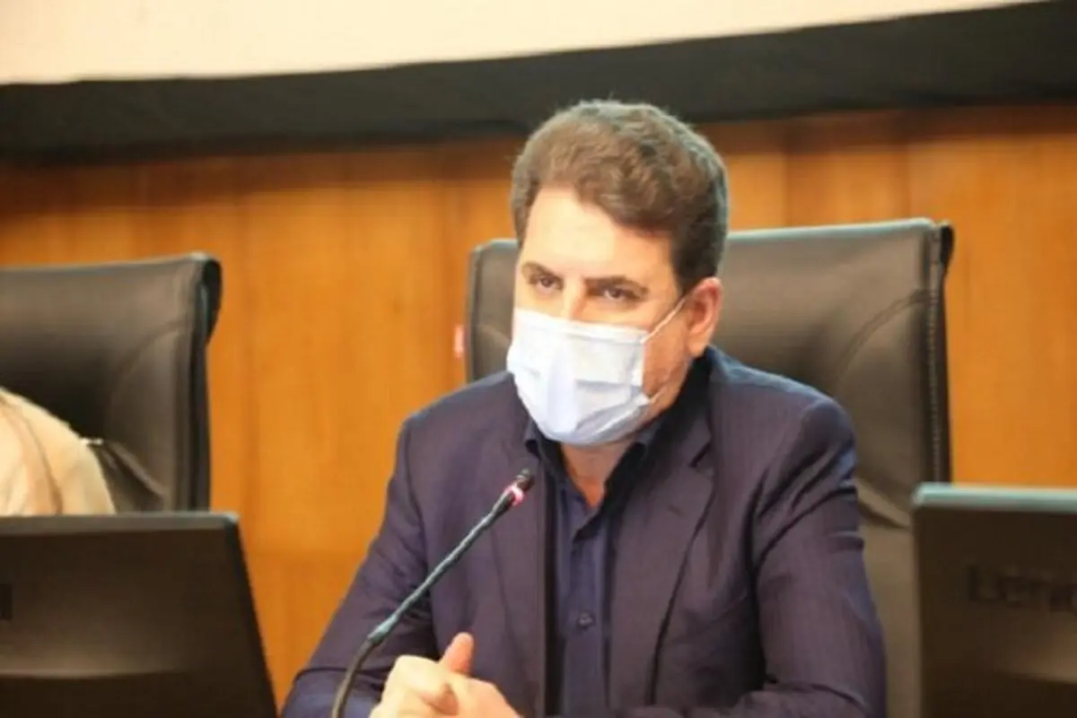 معاون سیاسی وزیر کشور: دولت با طرح فعلی نفوذ مخالف است | باید صدای موافقان و مخالفان شنیده شود