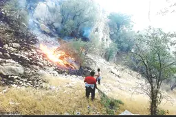 محرومیت محیط زیست   از بالگرد ها برای مهار آتش 