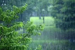 رگبار باران در نیمه شمالی تهران
