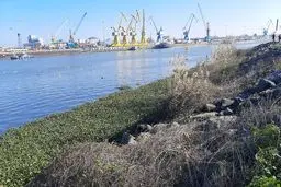 
روند خشکی تالاب انزلی به بلوار ساحلی رسید
