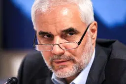 مهرعلیزاده: باید از هر امکانی برای حفظ جمهوریت نظام استفاده کنیم