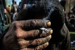 تعداد معتادان ایران، دست کم 4.4 میلیون نفر است