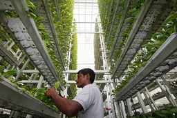 کشاورزی در زمین‌های عمودی 
