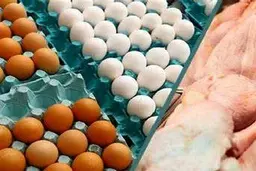 قیمت تخم‌مرغ به زیر نرخ مصوب رسید+ قیمت جدید