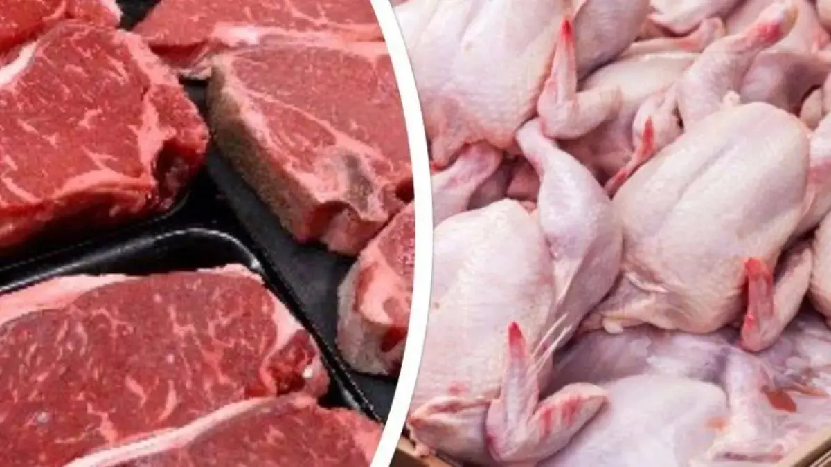 سقوط شدید قیمت مرغ و گوشت | کاهش قیمت مرغ و گوشت در 2 شهریور