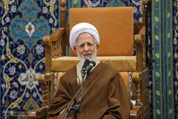 کاشتن چهار درخت هنر نیست؛ جلوی غارتگری جنگل را گرفتن، هنر است! + ویدیو