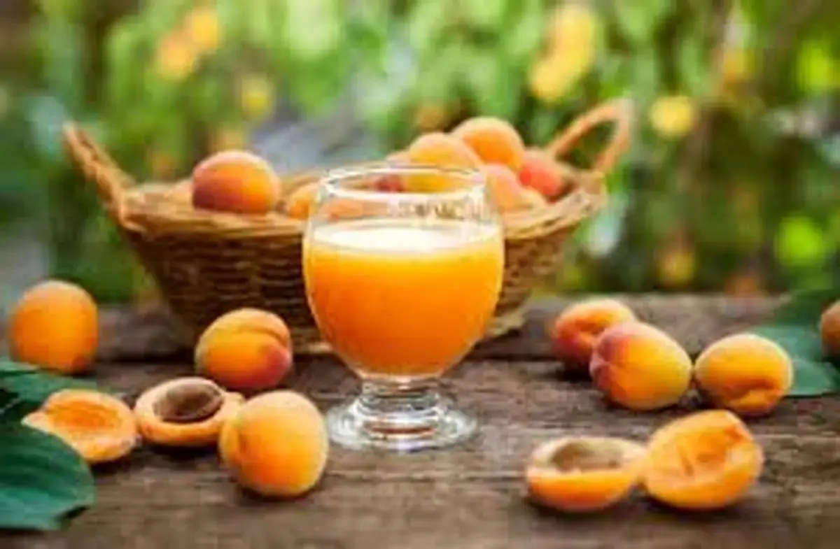 یک نوشیدنی خانگی شیرین و میوه‌ای مناسب تابستان | طرز تهیه رانی هلو خانگی +ویدئو