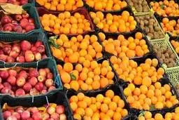 اگر خرید هیجانی مردم در میوه و مرغ به حداقل برسد، بازار میوه تثبیت می شود| عرضه مستقیم میوه و مرغ با قیمت مصوب