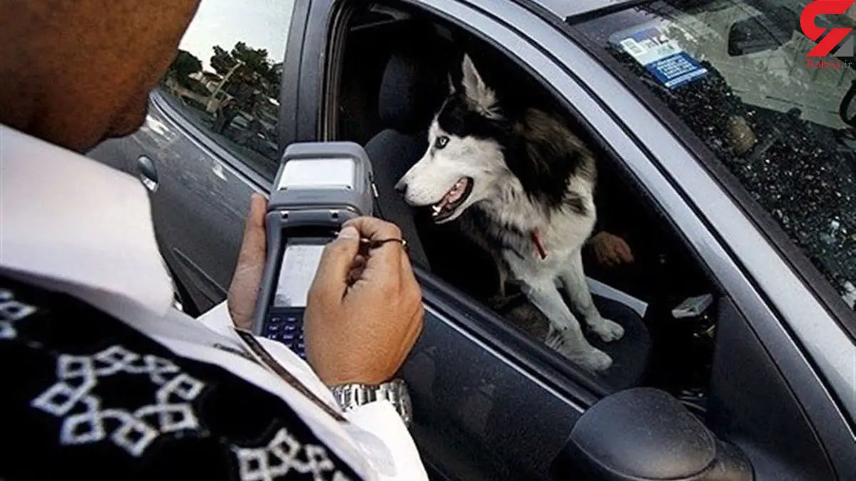 برخورد پلیس با سگ‌گردانی در تهران 