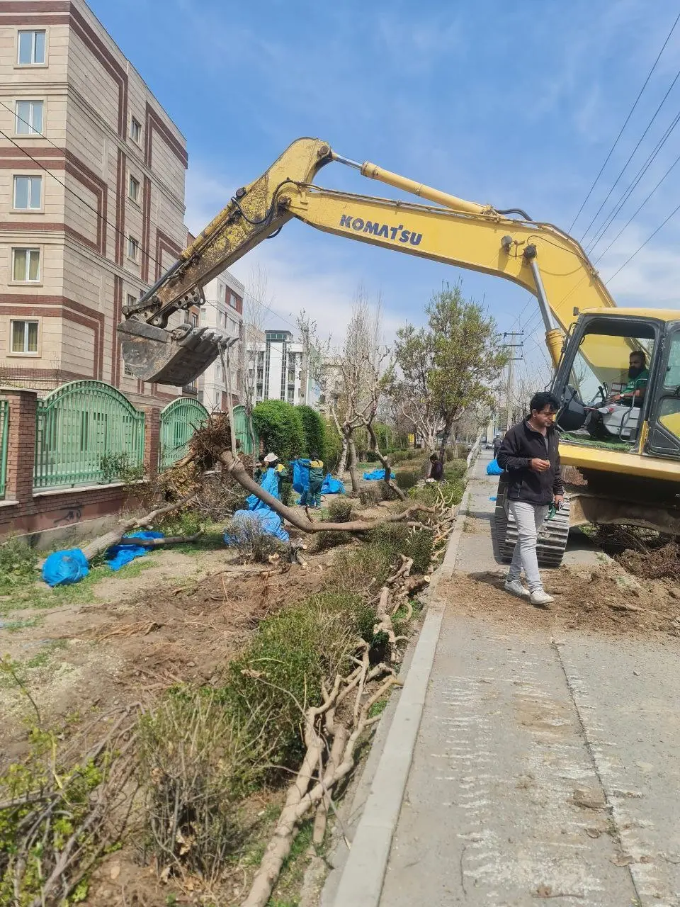قطع درختان در حاشیه اتوبان افسریه | محیط زیست نگران درختان قطع شده است