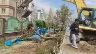 قطع درختان در حاشیه اتوبان افسریه | محیط زیست نگران درختان قطع شده است