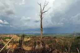 طبیعت برای ما یک پیام جدی فرستاد