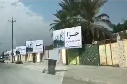 کمپین مردم بندر دیّر استان بوشهر برای نجات جنگل حرا + ویدئو