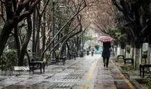 هشدار نارنجی برای شمال کشور؛ رگبار و وزش باد شدید